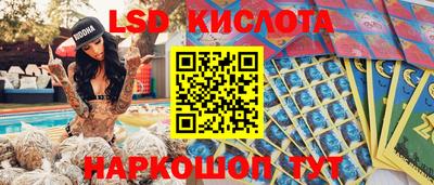 твердый Бийск