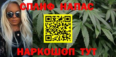 твердый Бийск