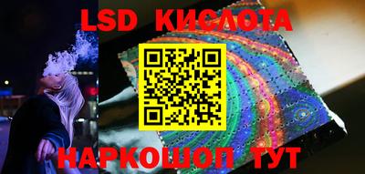 твердый Бийск