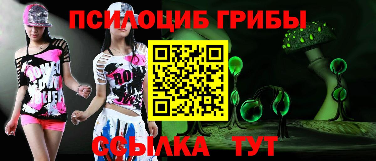 Псилоцибиновые грибы мухоморы Касимов
