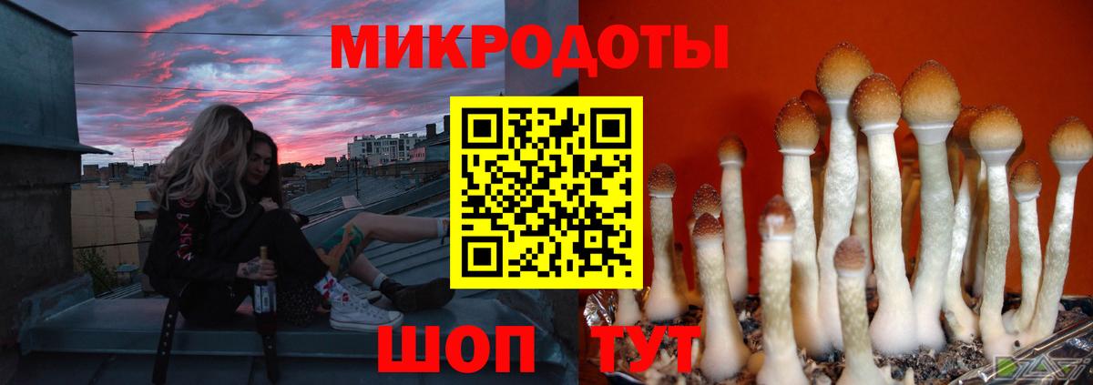 Галлюциногенные грибы мицелий  Вход с VPN  Касимов 