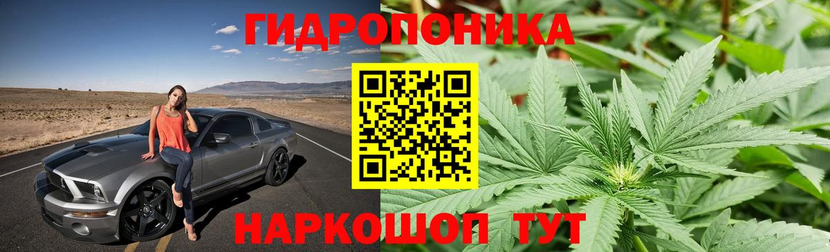 МАРИХУАНА Ganja Касимов